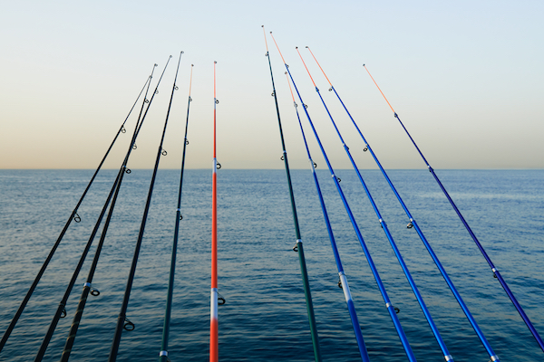Group Fishing Trip Rods